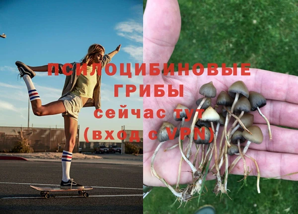 COCAINE Богородицк